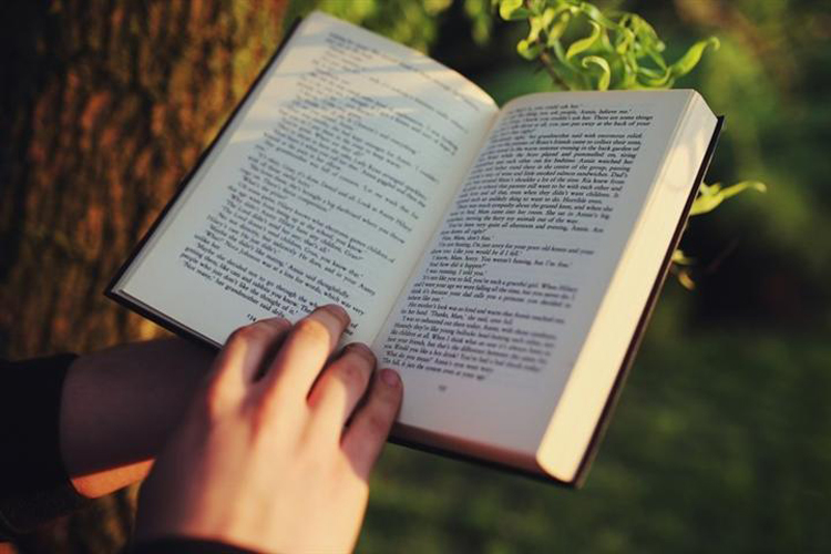 Libro