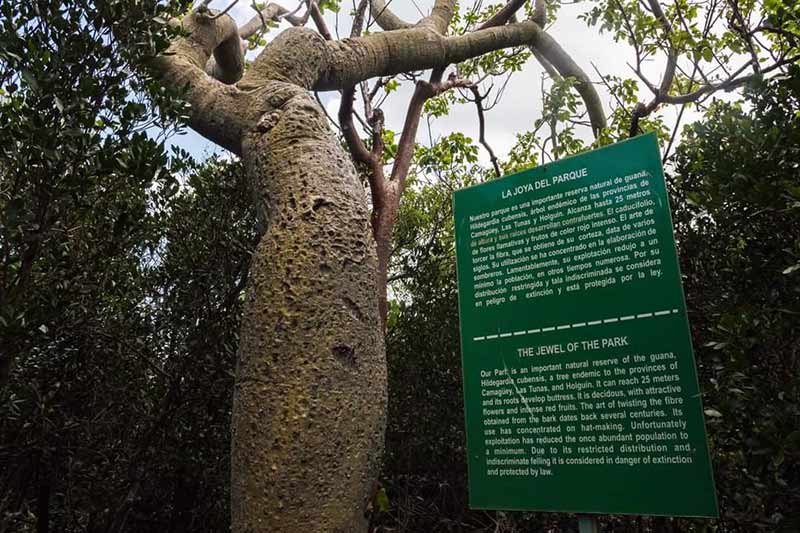Sendero Eco Arqueológico 04