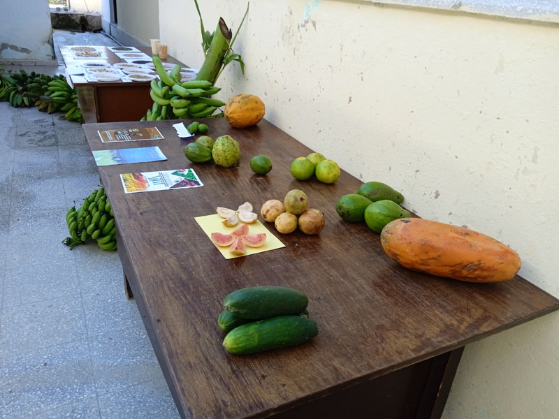agroecologia 2