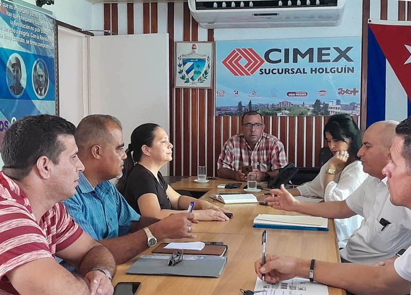 cimex 1