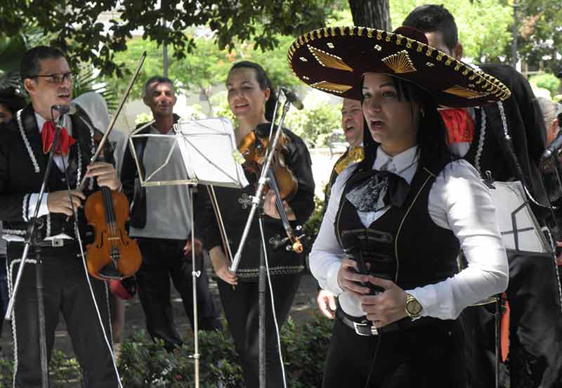 concurso mariachi Hg 4