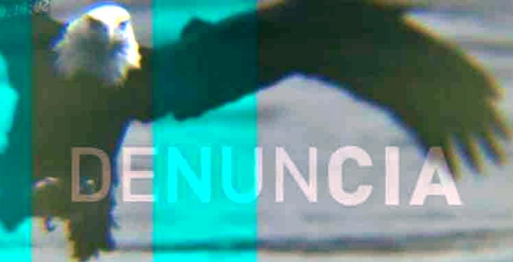 cuba denuncia