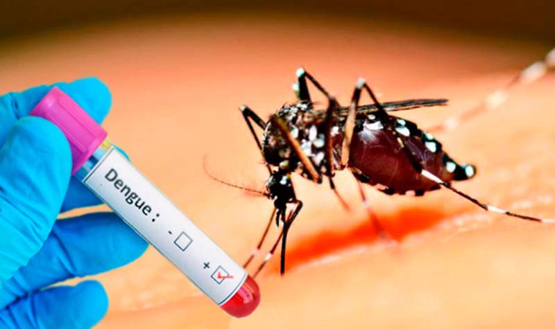 dengue prevención