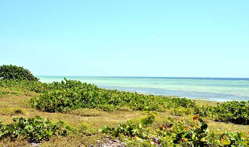 polo productivo Godínez ATH 3