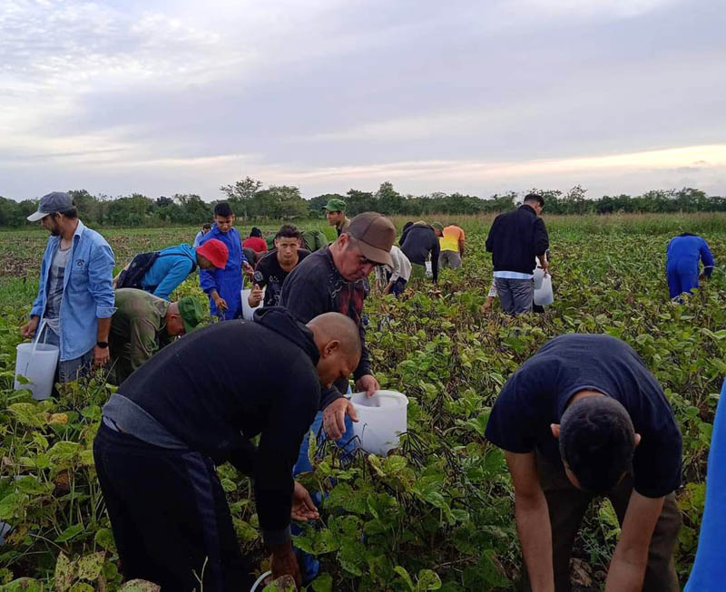 actividades triunfo de la revolución 6