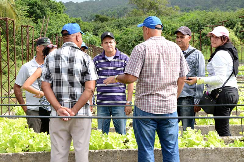 polo productivo mayarí 16