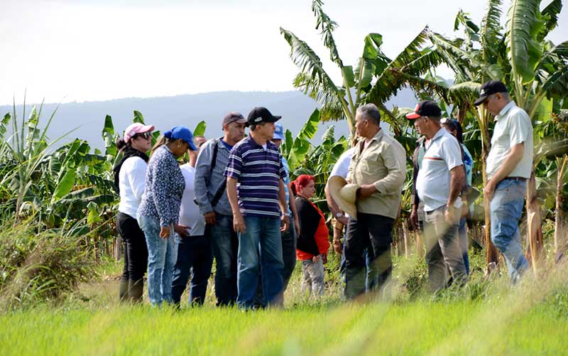 polo productivo mayarí 9