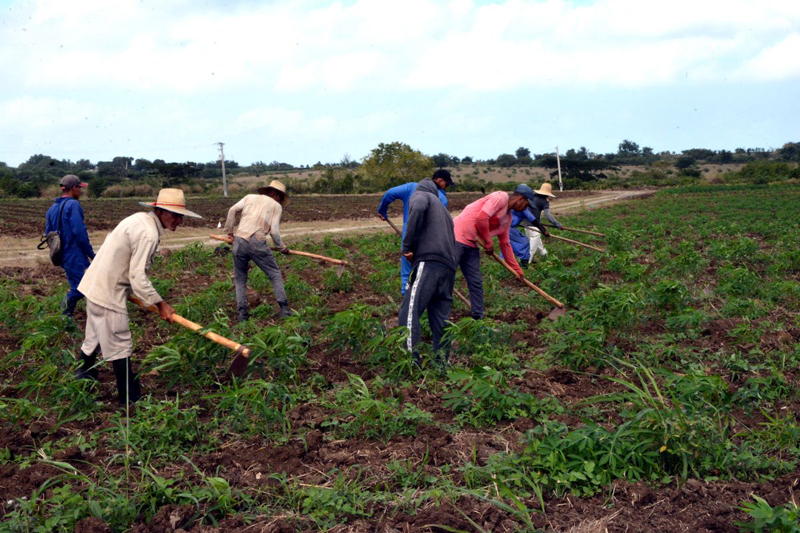 vice primera ministra