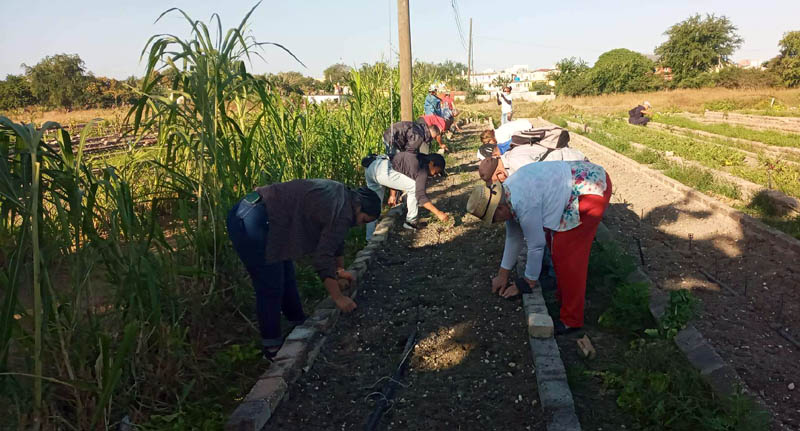 Fotos de la autora trabajo voluntario 1