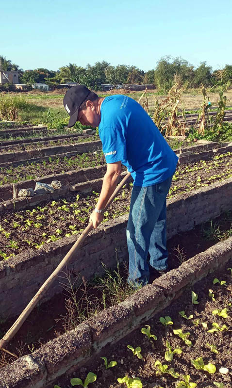 trabajo voluntario 2