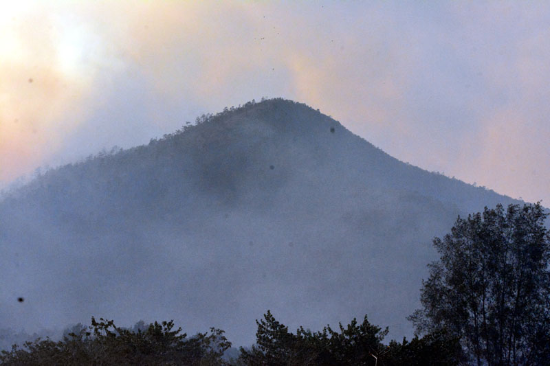 incendio Pinares 02
