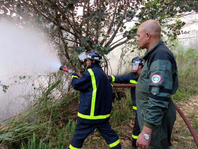 incendio Pinares 08