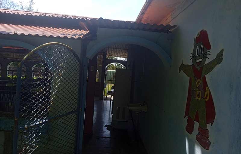 Freyre campamento doc rec 3