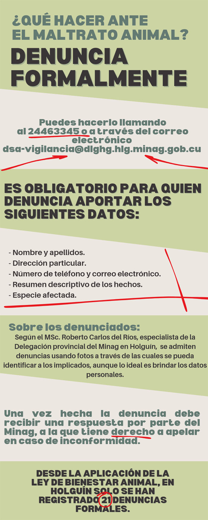 Infog maltrto animal