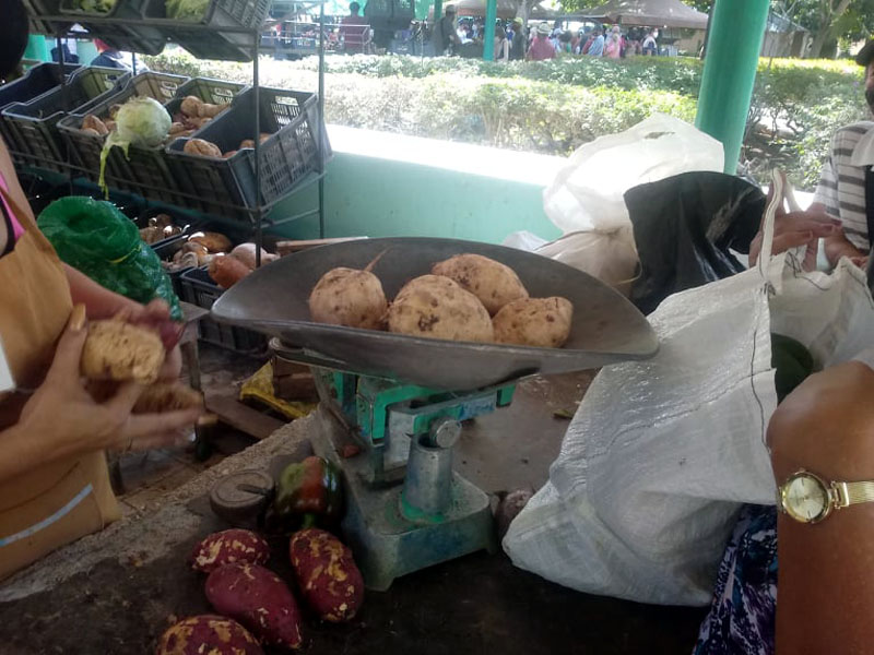 Precios mercado 1