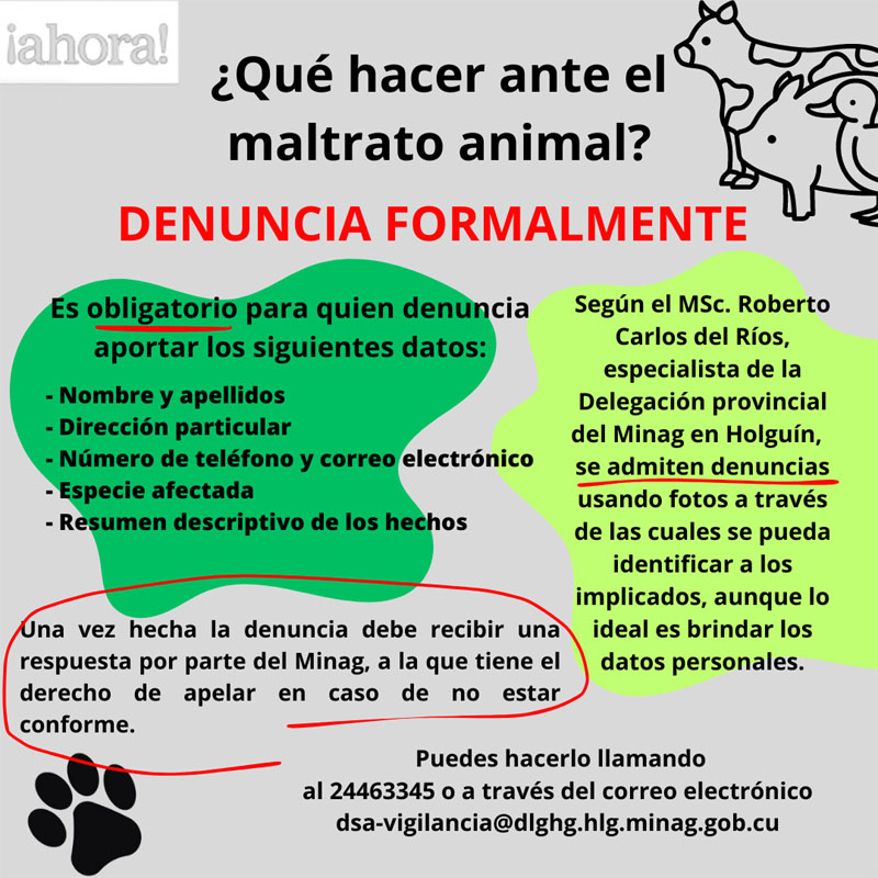 bienestar animal 4
