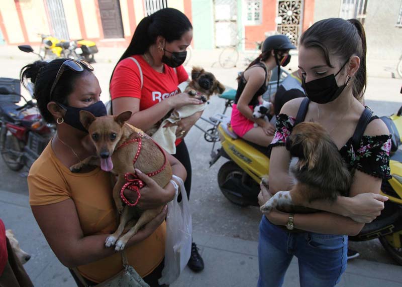 foto: ACN mascotas2