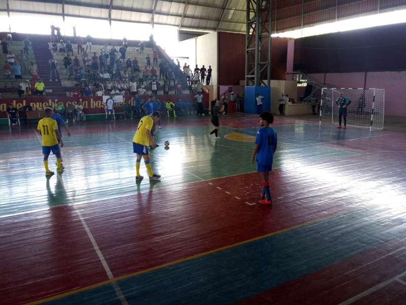 Foto: del autor pumas deporte