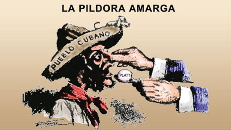 enmienda platt