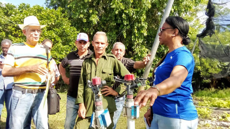 inés maria chapman 4 ATH