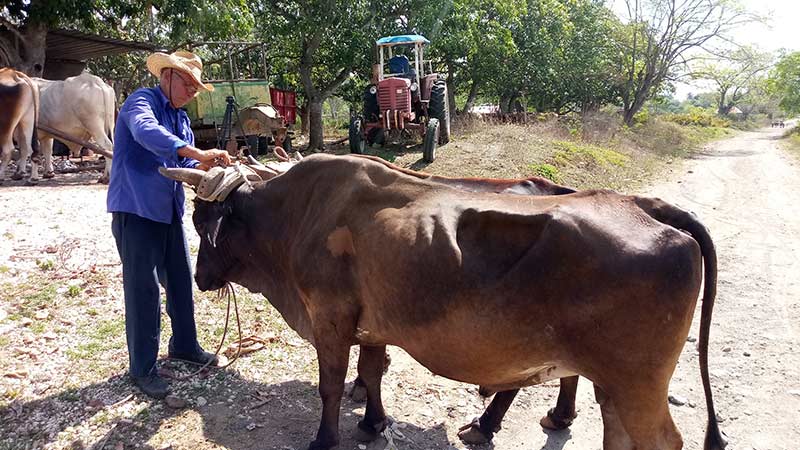 anap actividades FGD 3