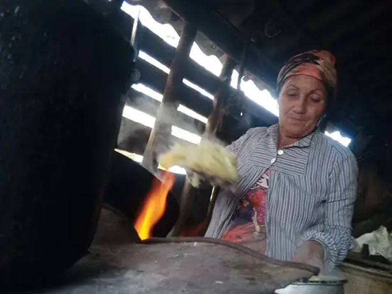 dania surco 9