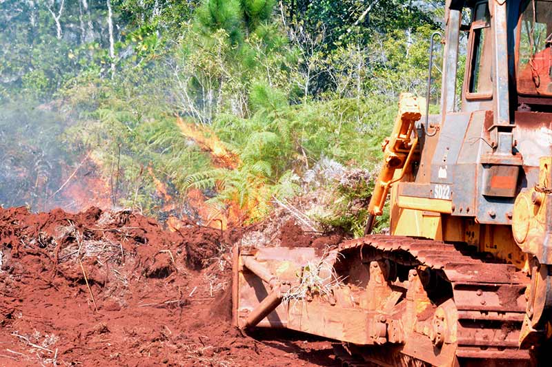 incendio forestal Pinares ATH 1