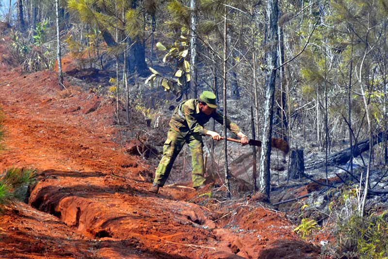 incendio forestal Pinares ATH 3
