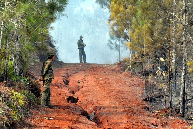 incendio forestal Pinares ATH 4