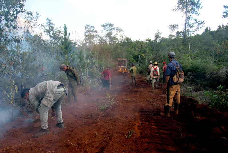 incendio forestal Pinares ATH 5