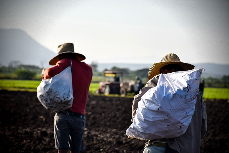 Día campesino 2