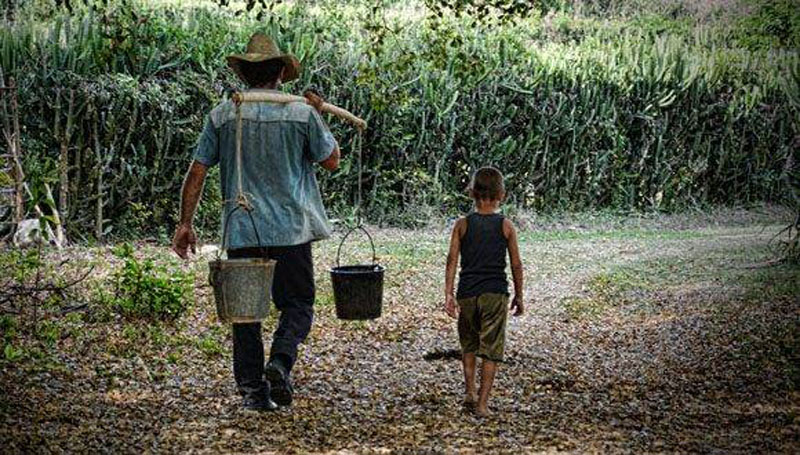 Día campesino 3