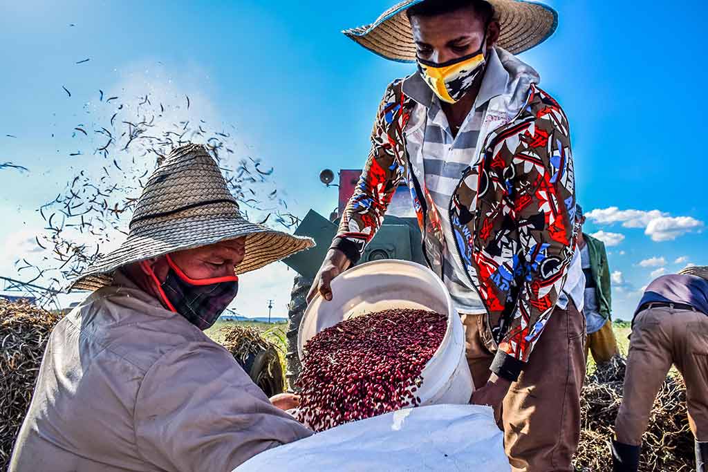 Día campesino 6