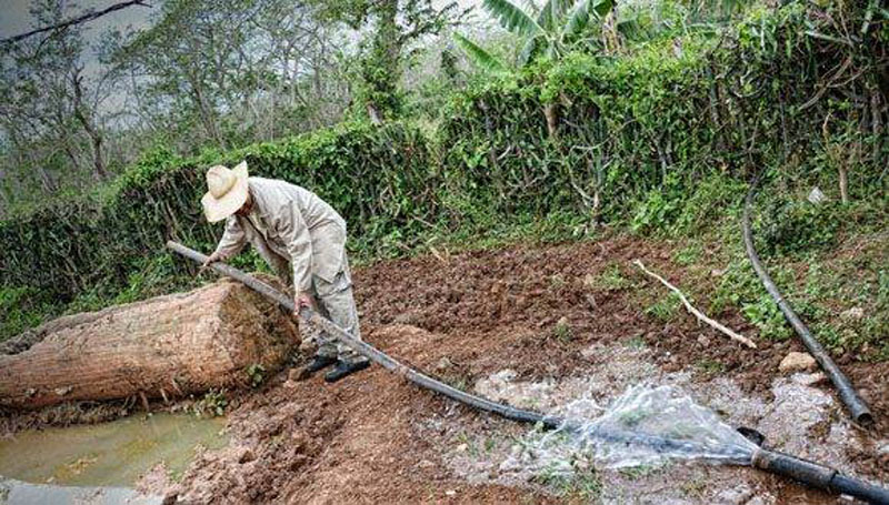 Día campesino 8