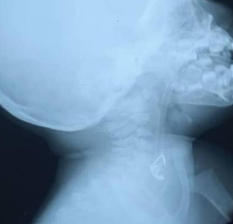 MEDICOS MUELLE 5