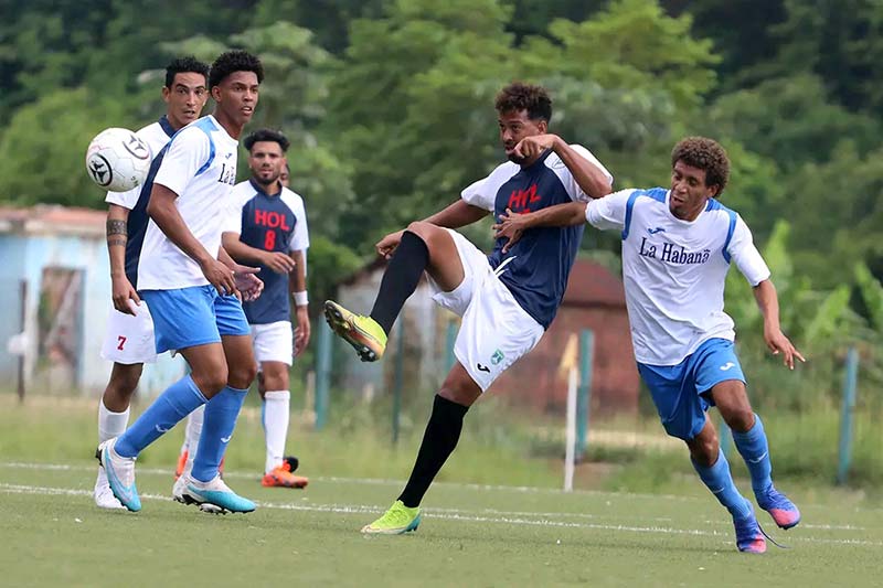 fútbol panteras leones