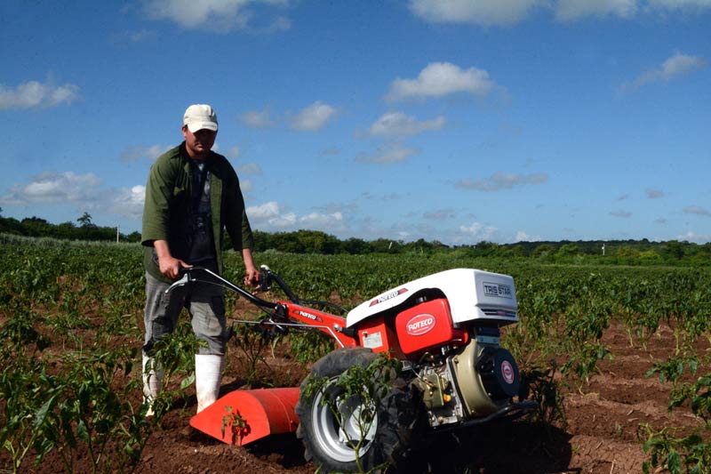 productores beneficios ATH 14