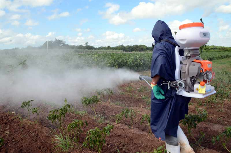 koica productores beneficios ATH 5