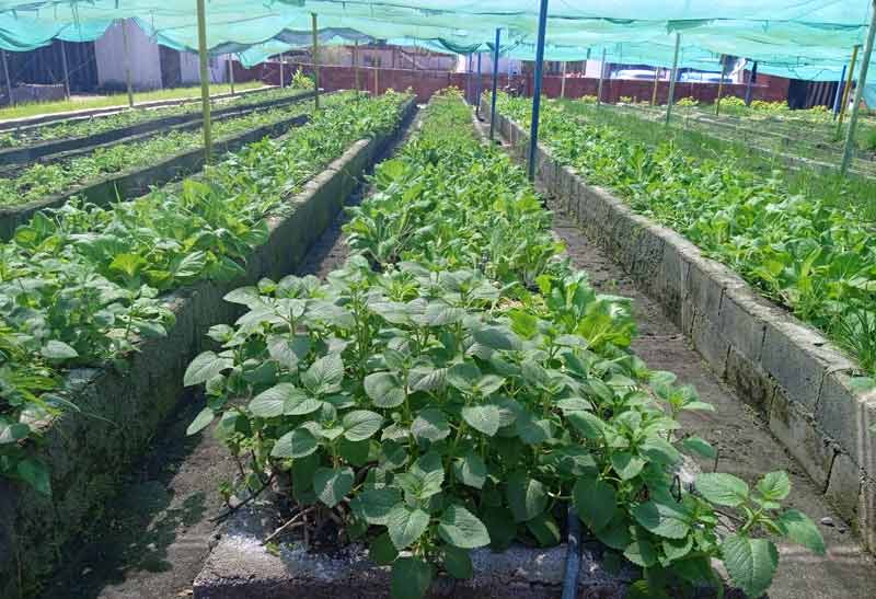 Explotación tierras sindicato construcción 1 