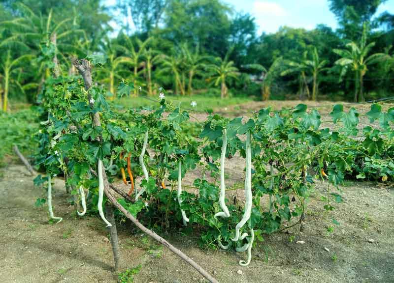 Explotación tierras sindicato construcción 2 