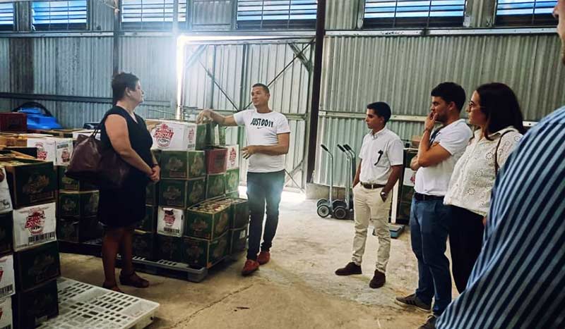 agencia sueca desarrollo esdi 3