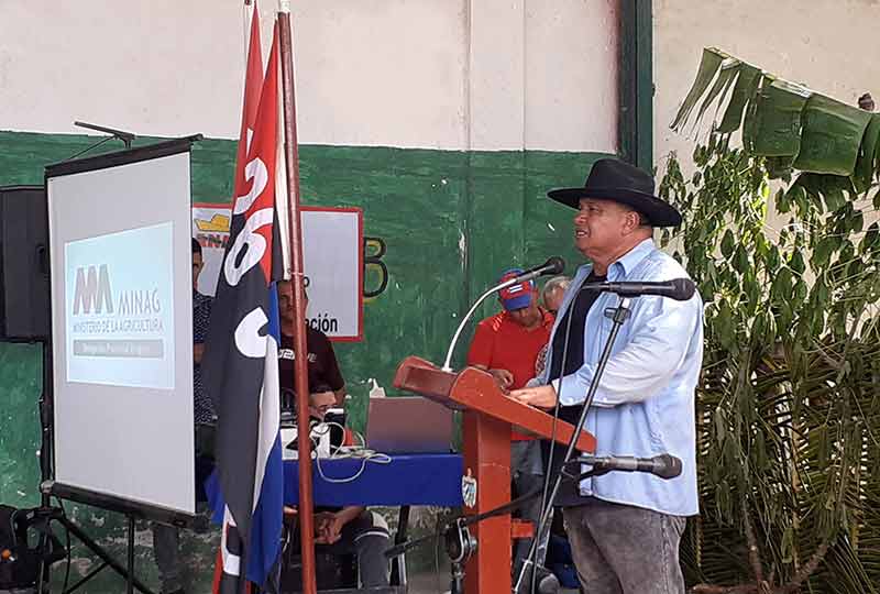 de frío Holguín 10