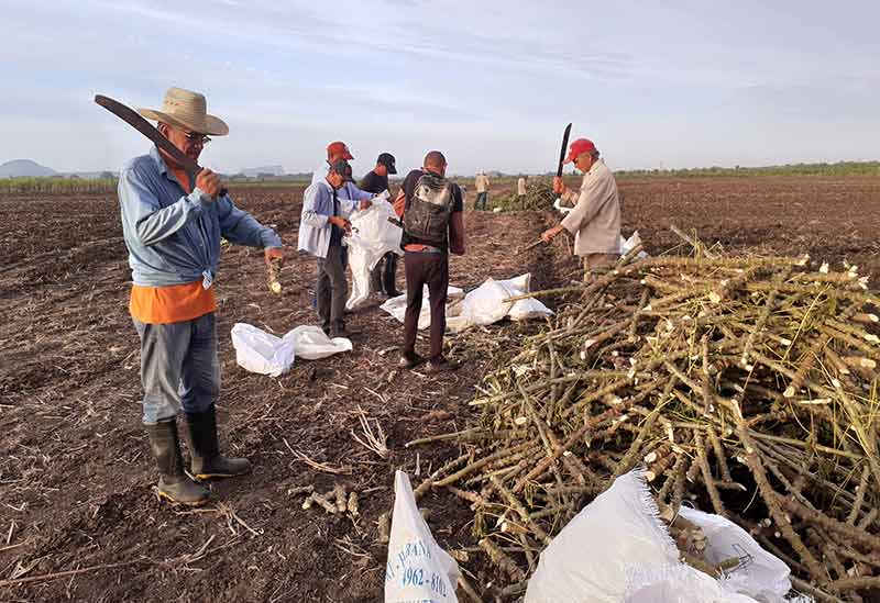 campaña de frío Holguín 2
