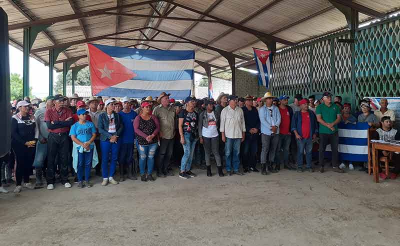 campaña de frío Holguín 4