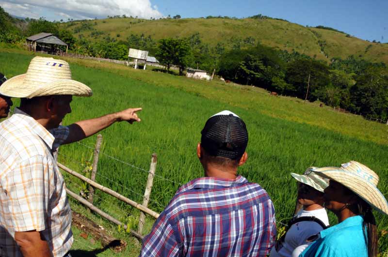  campesino 65 aniversario 13