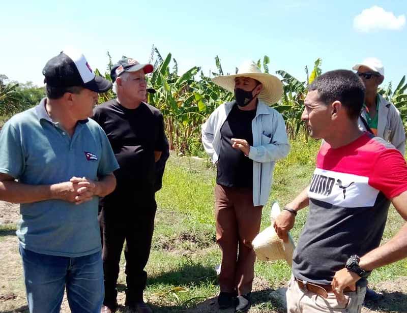 limoncito polo productivo 4