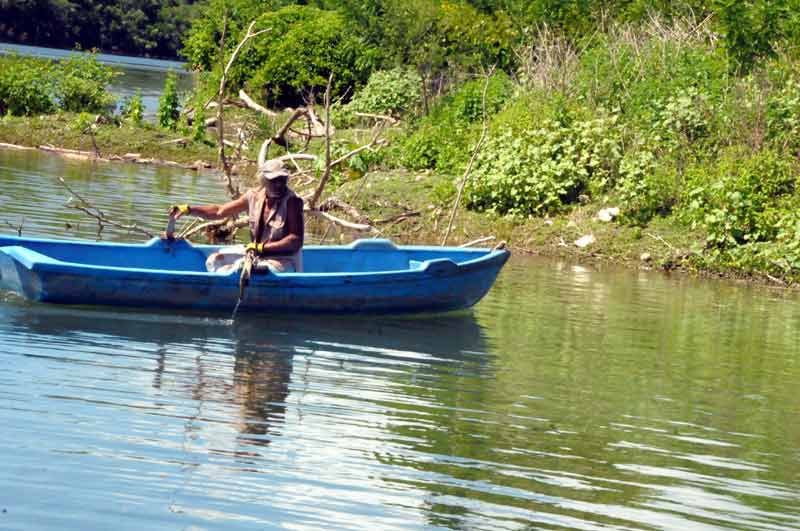 presa mayarí ELA 4