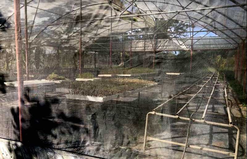 tierra organopónico ELA 2