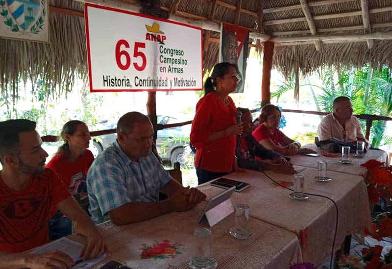 asamblea piloto anap ELA 1