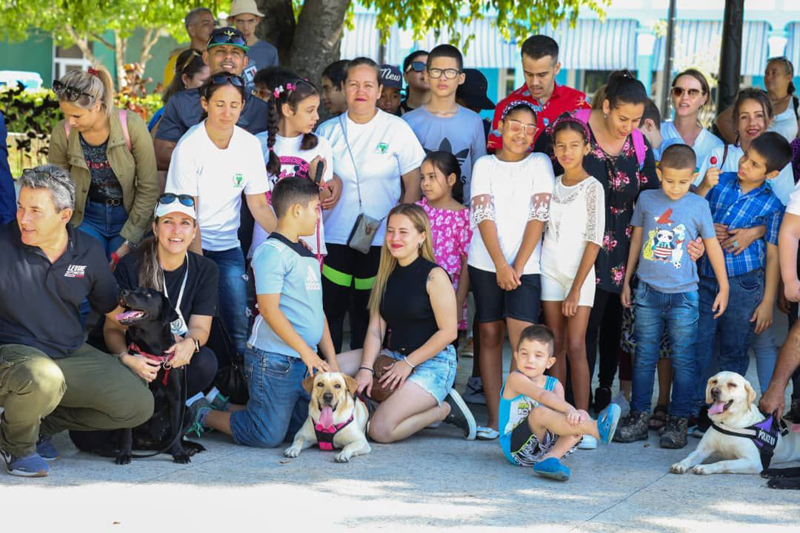 cachorros holguin